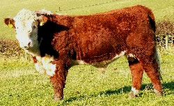 B618