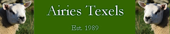 Airies Texels Established 1989